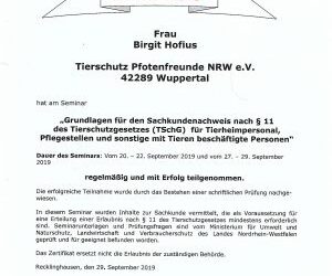 Teammitglieder haben Sachkunde § 11.