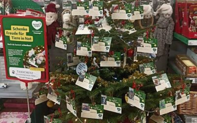 Wunschbaum bei Fressnapf in Steinbeck