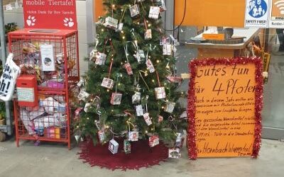 Wunschbaum bei Hornbach