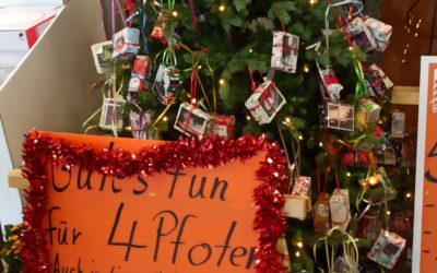 Wunschbaum bei Hornbach