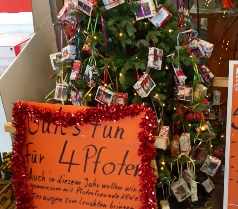 Wunschbaum bei Hornbach