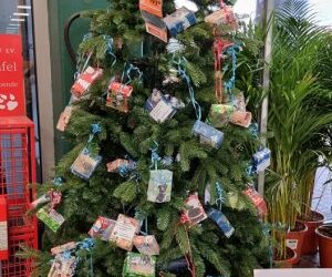 Wunschbaum bei Hornbach auf Lichtscheid