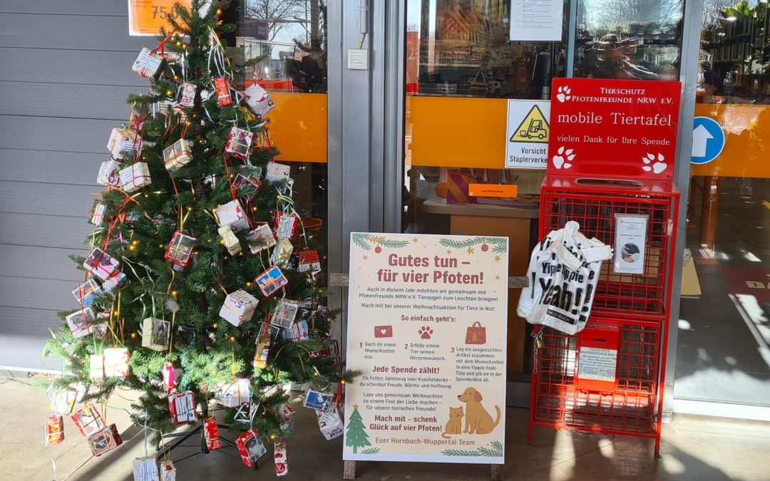 Wunschbaum bei Hornbach Wuppertal 2025